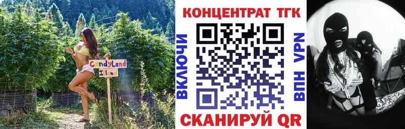 ТГК Wax  Хасавюрт 