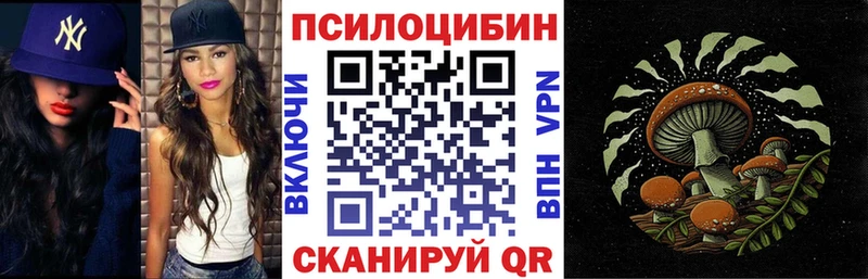 Псилоцибиновые грибы Magic Shrooms  хочу   Хасавюрт 