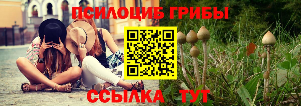 Хасавюрт  Галлюциногенные грибы Psilocybe  Галлюциногенные грибы Psilocybine cubensis  магазин  наркотиков  Вход с VPN 