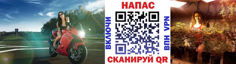 МАРИХУАНА VHQ Хасавюрт